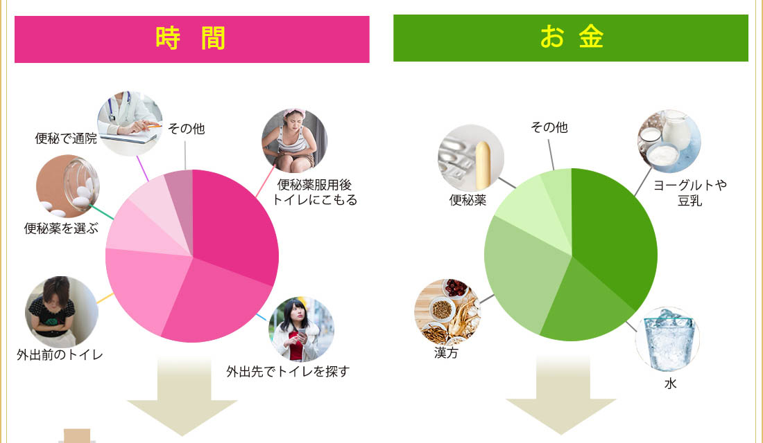 時間とお金の割合グラフ