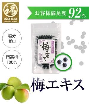 梅エキス　粒状100ｇ